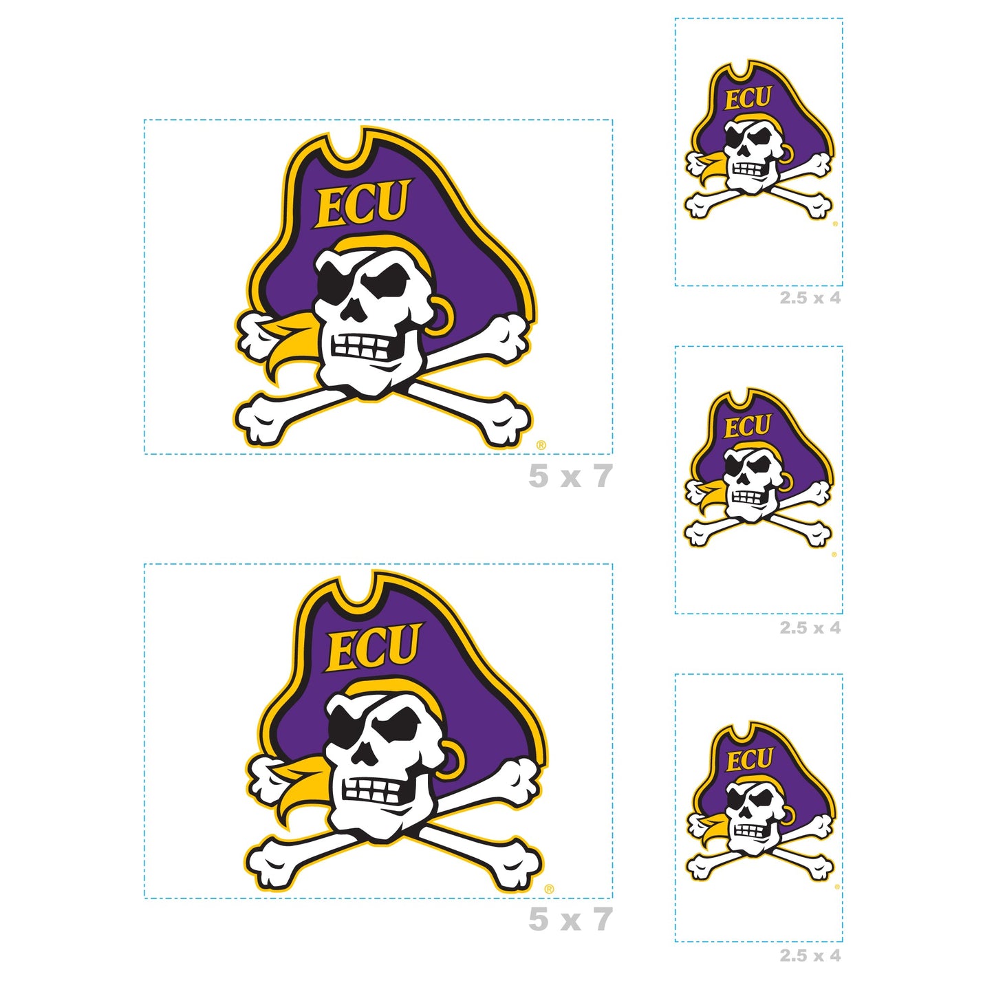East Carolina Pirates - 5 Logo Minis (Mixed Sizes) - Official NCAA - Reusable Vinyl Decals
