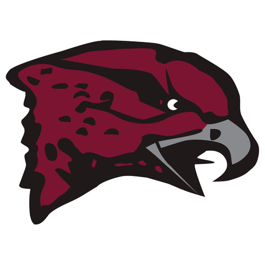 Maryland Eastern Shore Hawks - 5 Logo Minis (Mixed Sizes) - Official NCAA - Reusable Vinyl Decals