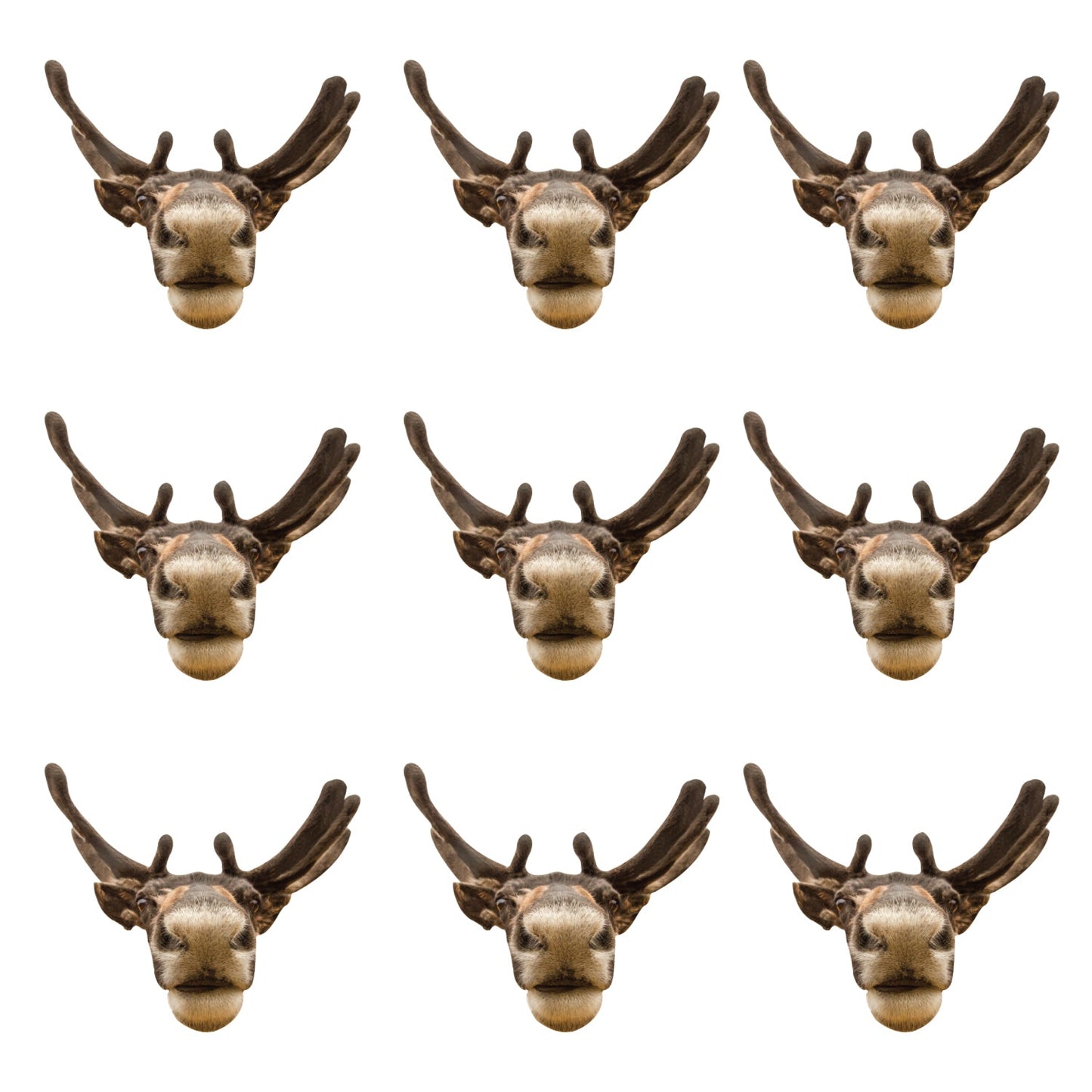 Christmas: Reindeer Minis - Big Head