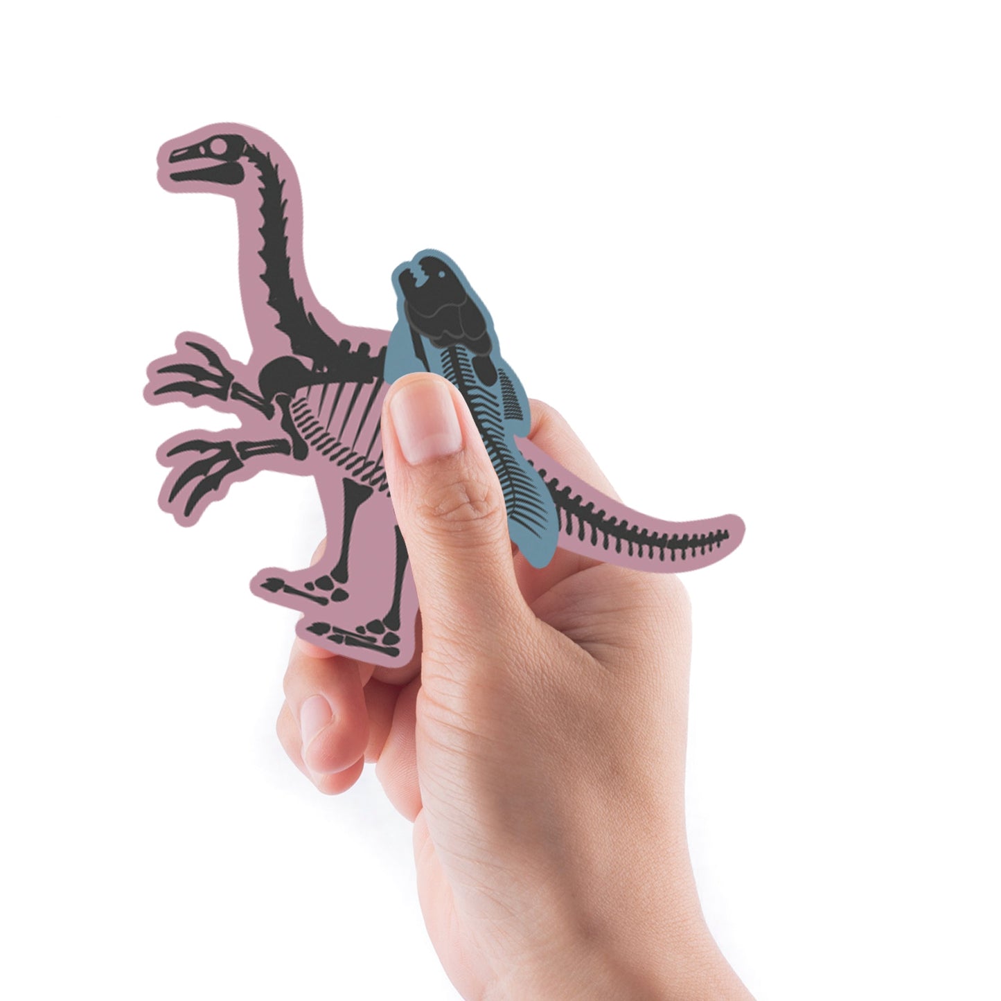 Sheet of 5 -Dinosaur: Dinosaur Skeleton Vol 2 Minis - Removable Adhesive Decal