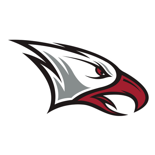 North Carolina Central Eagles - 5 Logo Minis (Mixed Sizes) - Official NCAA - Reusable Vinyl Decals