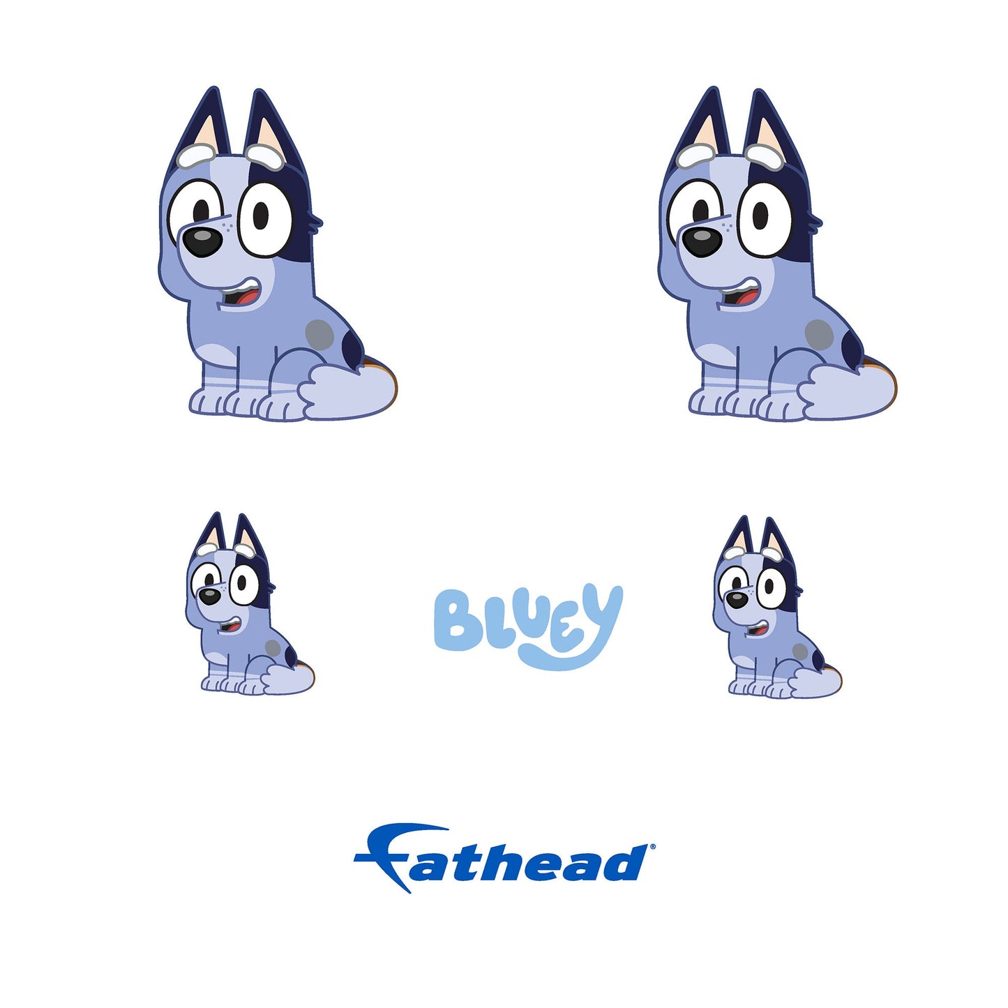 Bluey - 5 Socks Minis (Mixed Sizes) - Official BBC - Reusable Vinyl Decals