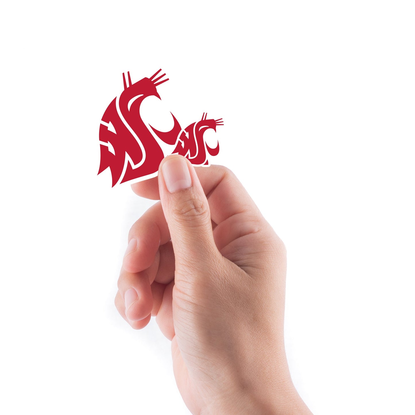Washington State Cougars - 5 Logo Minis (Mixed Sizes) - Official NCAA - Reusable Vinyl Decals