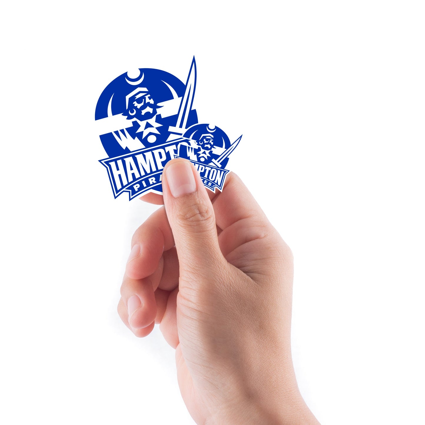 Hampton Pirates - 5 Logo Minis (Mixed Sizes) - Official NCAA - Reusable Vinyl Decals