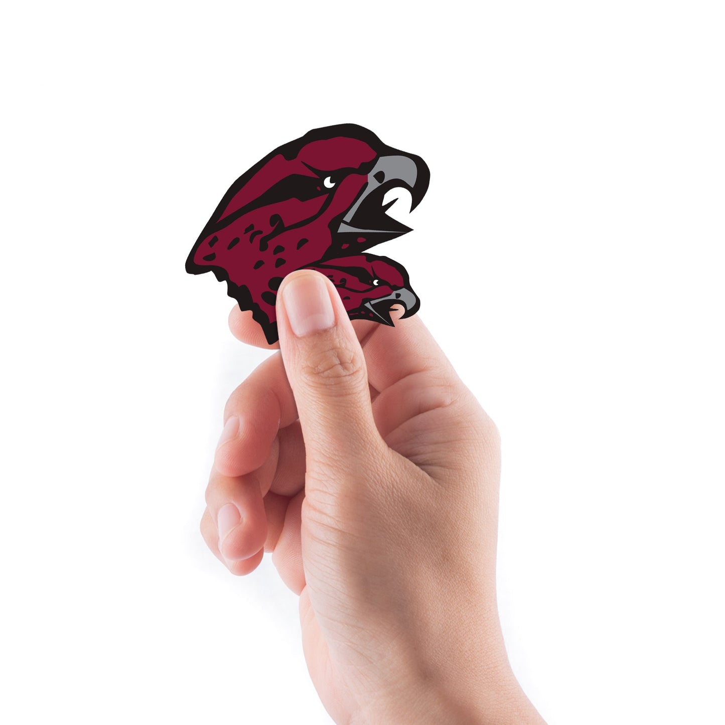 Maryland Eastern Shore Hawks - 5 Logo Minis (Mixed Sizes) - Official NCAA - Reusable Vinyl Decals