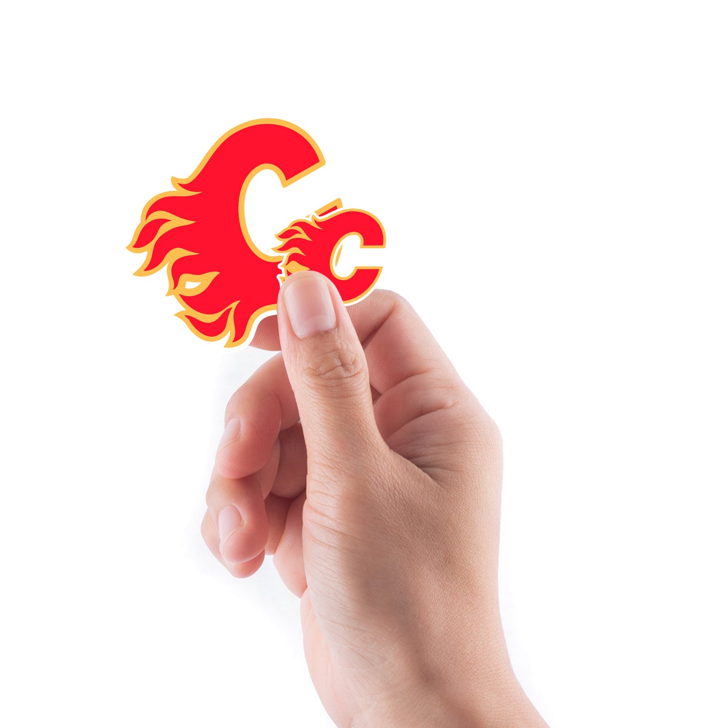 Calgary Flames - 5 Logo Minis (Mixed Sizes) - Official NHL - Reusable Vinyl Decals
