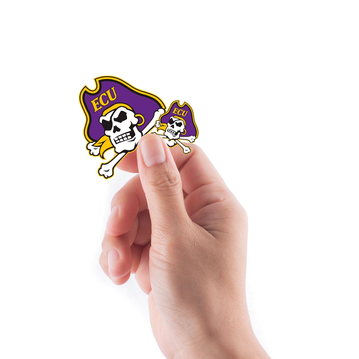 East Carolina Pirates - 5 Logo Minis (Mixed Sizes) - Official NCAA - Reusable Vinyl Decals