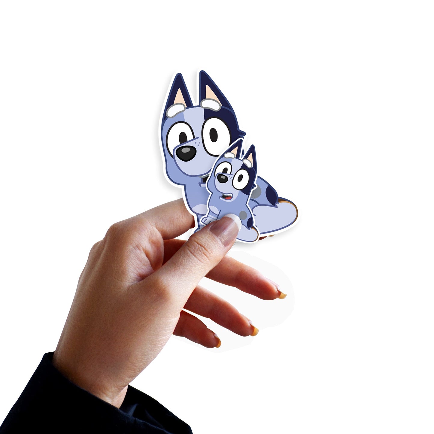 Bluey - 5 Socks Minis (Mixed Sizes) - Official BBC - Reusable Vinyl Decals